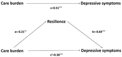 Relationships between care burden, resilience, and depressive symptoms among the main family caregivers of stroke patients: A cross-sectional study